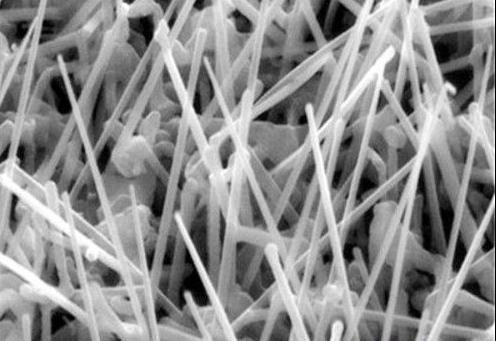 editor1572340129809301.jpg u=3351009140,2243271776&fm=26&gp=0.jpg