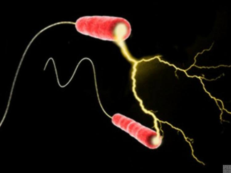 editor1626503400217020.jpg timg (16).jpg